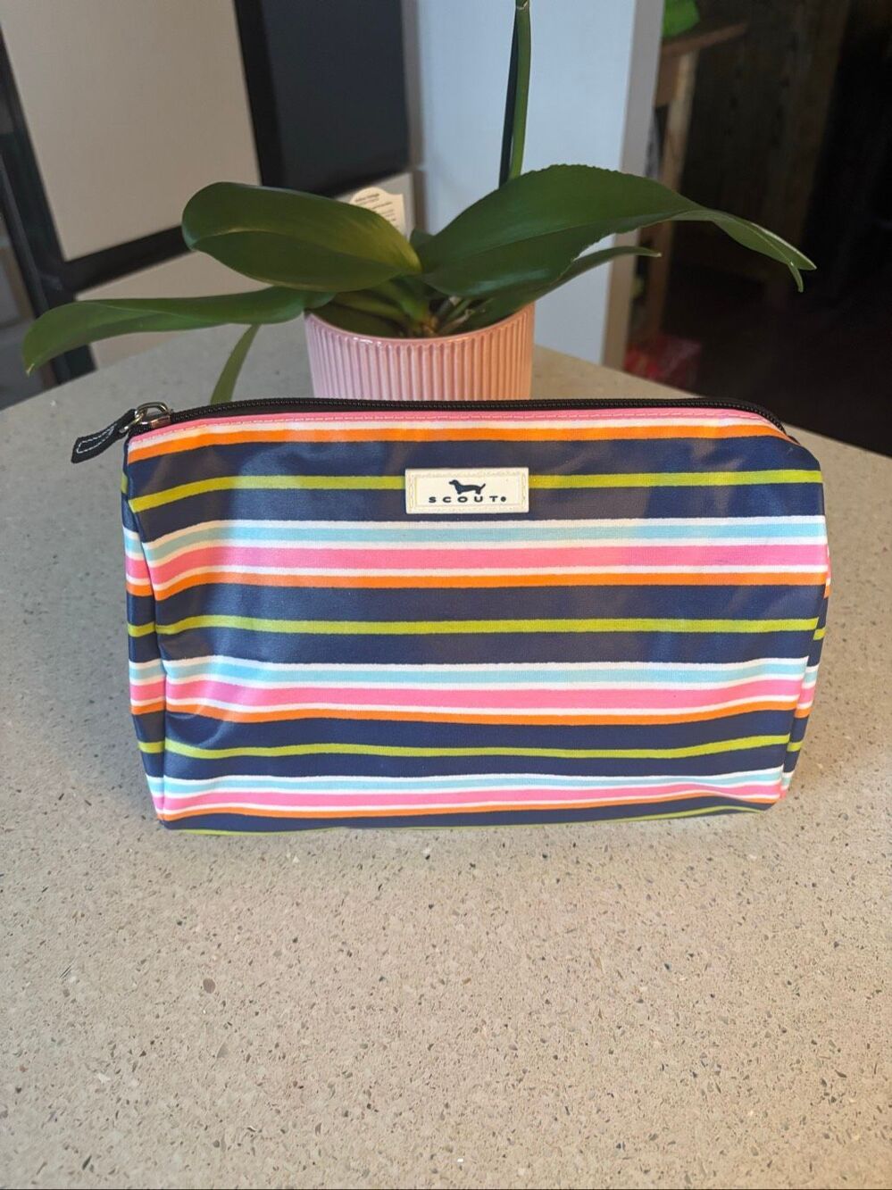 Scout cosmetic bag
